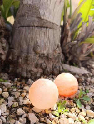 Preview of voucher design 