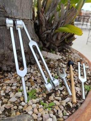 Preview of voucher design 